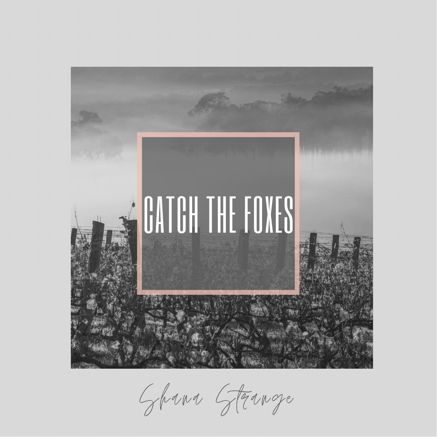 catch the foxes cover