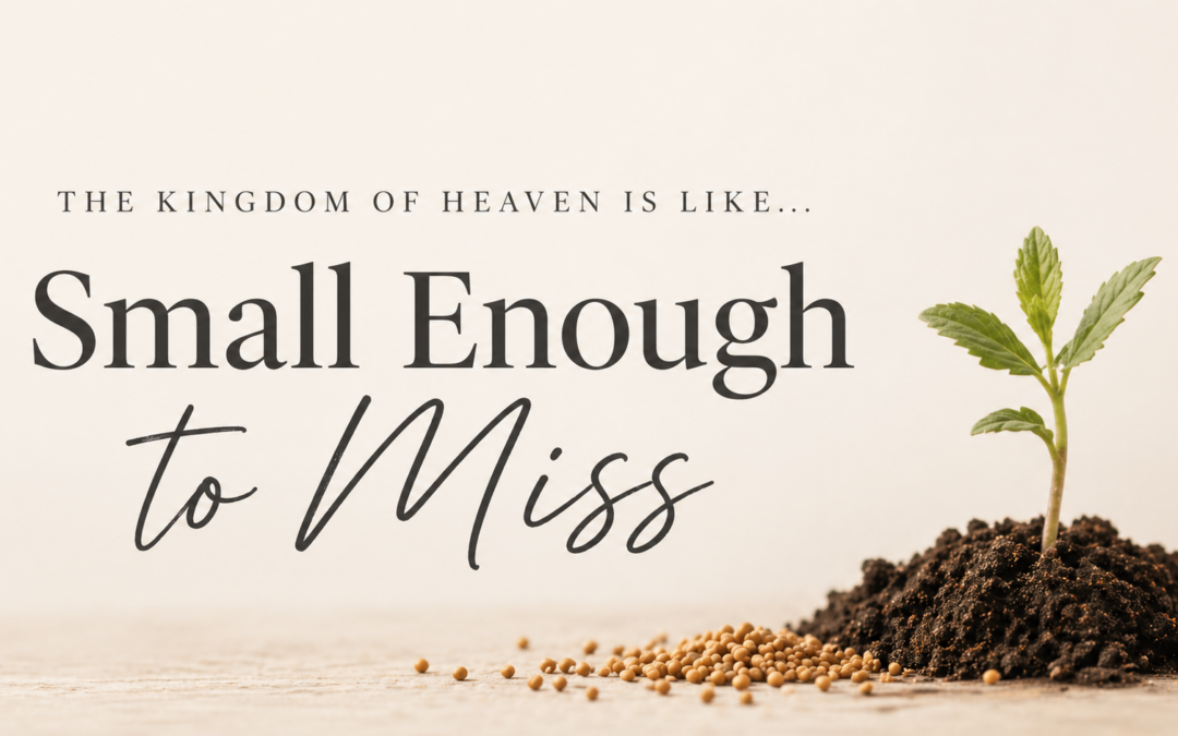 The Kingdom of Heaven is Like….Small Enough to Miss